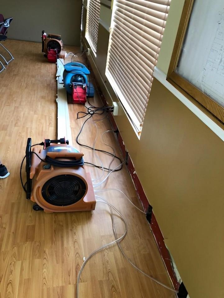 Mold Inspection Services Miami