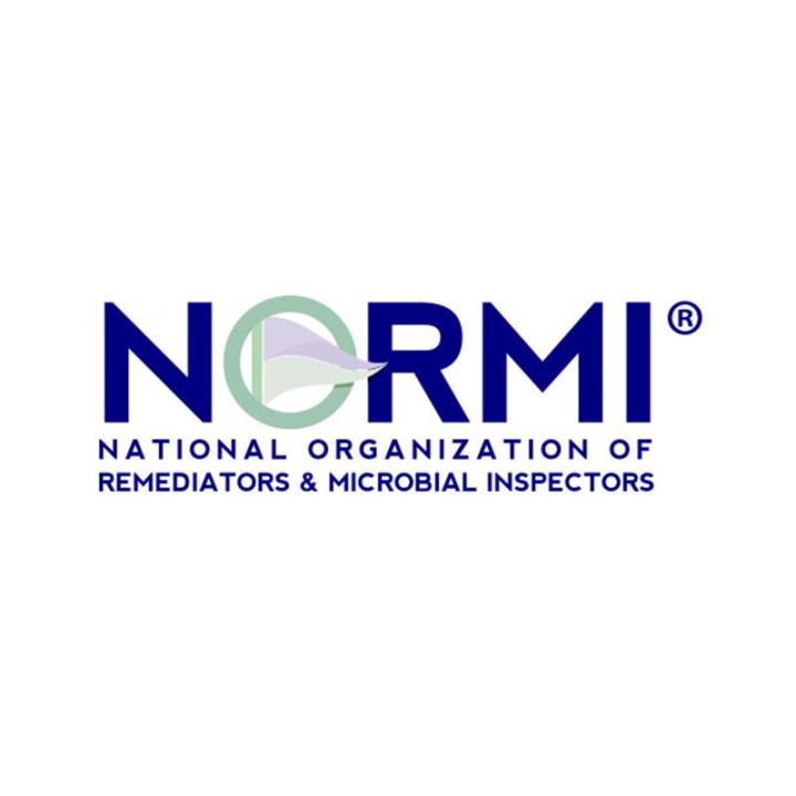 Logo Normi