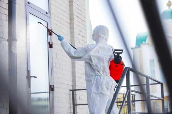 Mold Inspection Company, Coral Gables<br/>Reliable Mold Inspection Company Coral Gables<br/>Trustworthy Mold Inspection Company Coral Gables