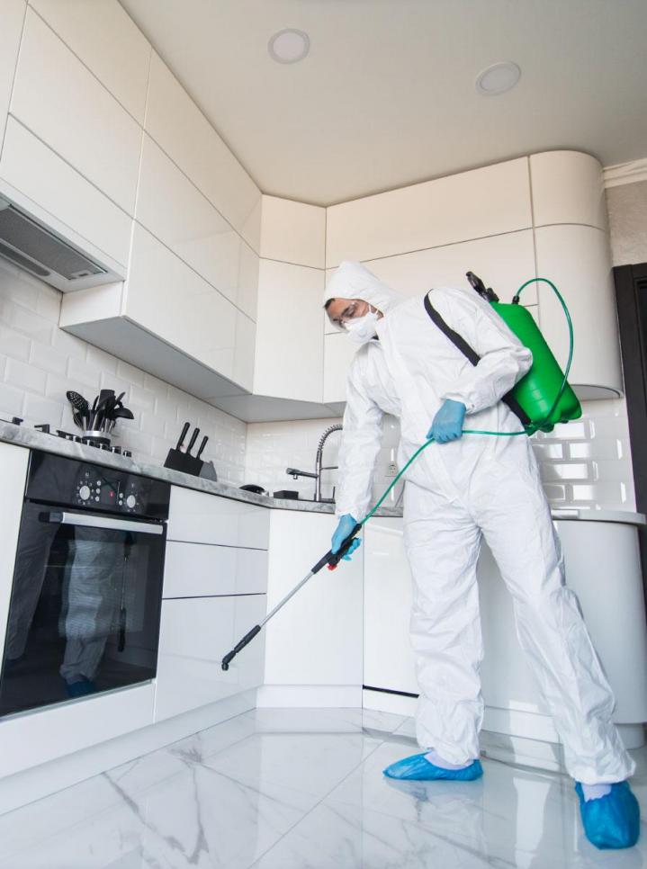 Mold Remediation Services Miami