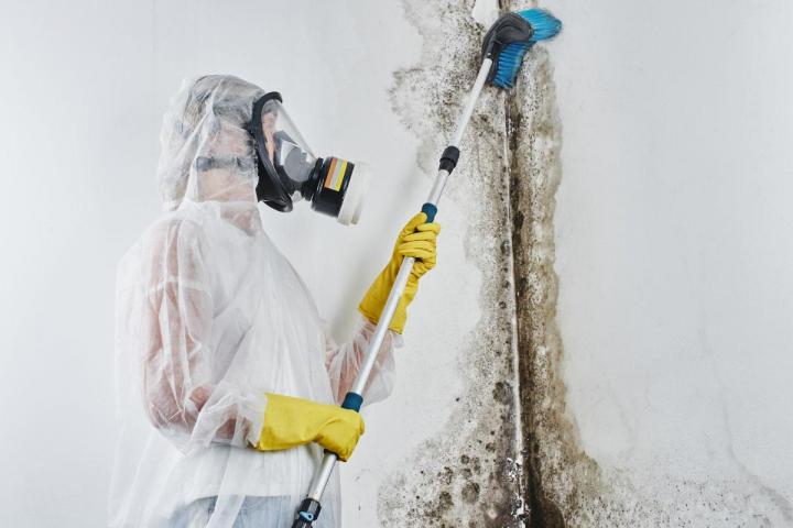 Beyond cleanup, ensuring your safety.